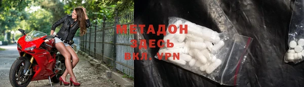 прущие грибы Медвежьегорск