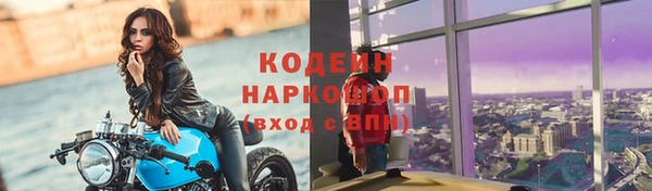 прущие грибы Медвежьегорск