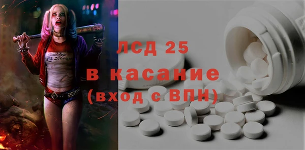 прущие грибы Медвежьегорск