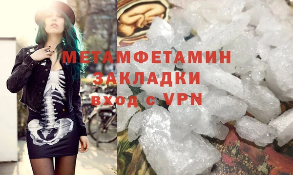 прущие грибы Медвежьегорск