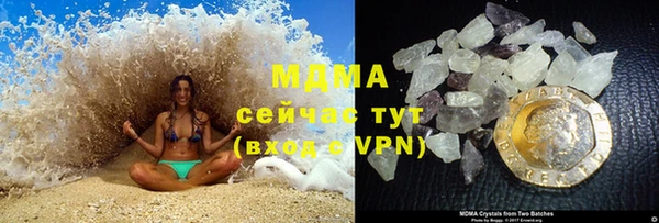 прущие грибы Медвежьегорск