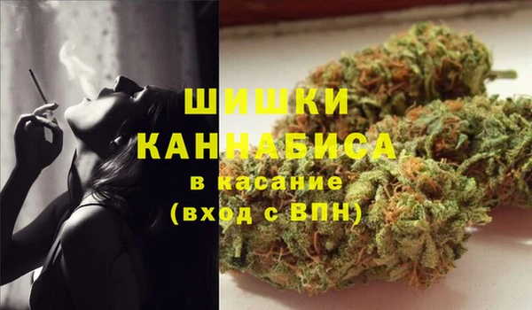 прущие грибы Медвежьегорск