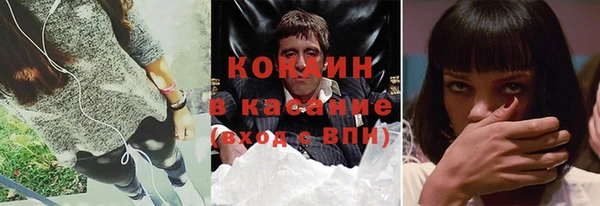 прущие грибы Медвежьегорск