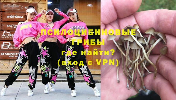 MDMA Premium VHQ Медногорск
