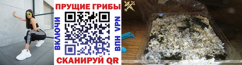 Галлюциногенные грибы Magic Shrooms  Усть-Катав 